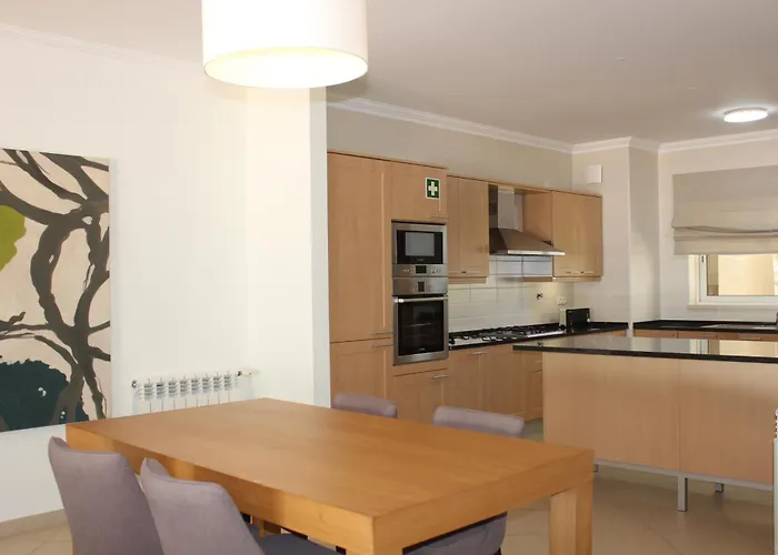 公寓 Confortavel T2 奥比多斯